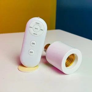 B22 to E27 Remote Lamp Holder - Original in Bangladesh
