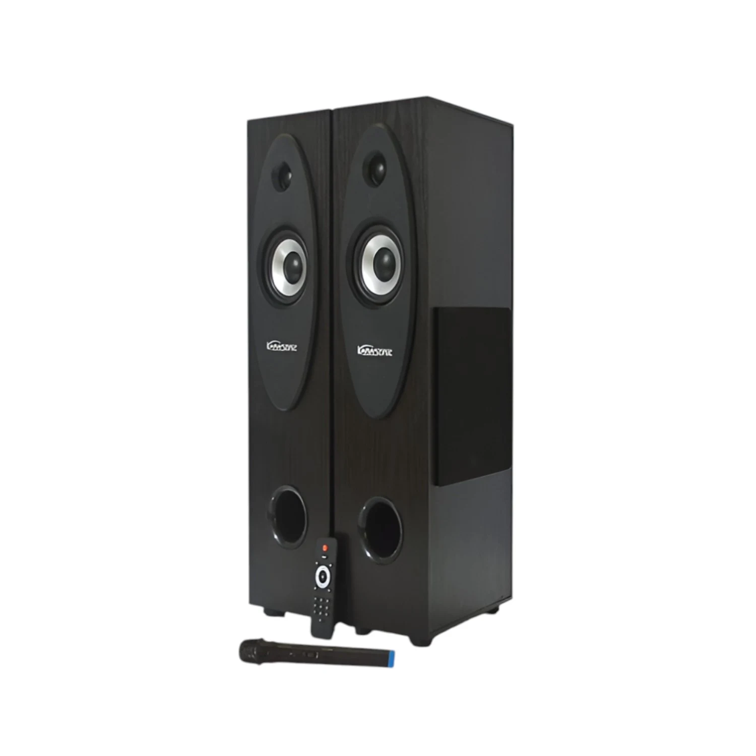Kamasonic T30X Speaker Kit - 2